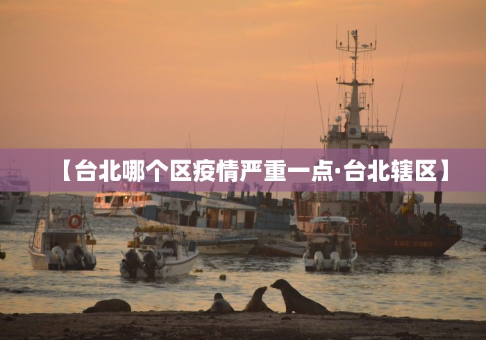 【台北哪个区疫情严重一点·台北辖区】
