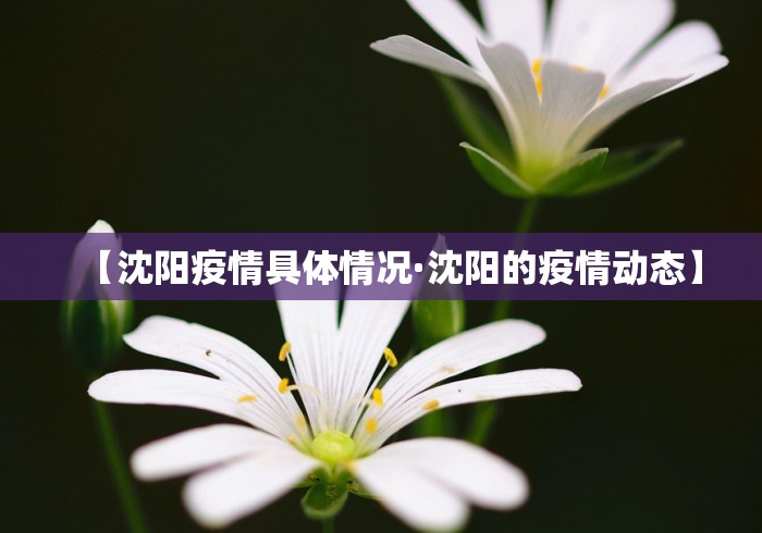 【沈阳疫情具体情况·沈阳的疫情动态】