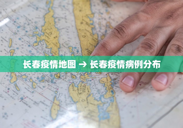 长春疫情地图 → 长春疫情病例分布