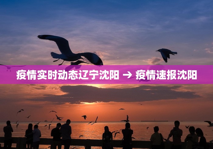 疫情实时动态辽宁沈阳 → 疫情速报沈阳