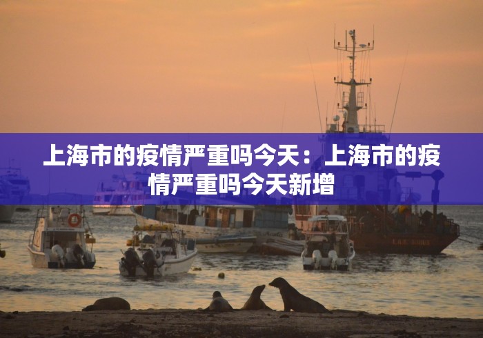 上海市的疫情严重吗今天：上海市的疫情严重吗今天新增