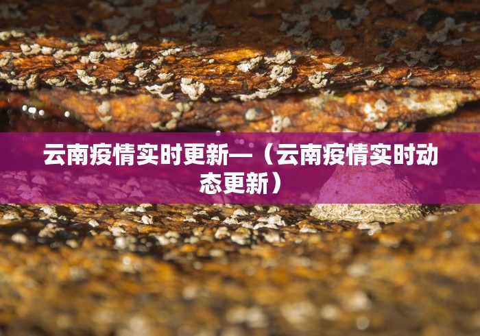 云南疫情实时更新—（云南疫情实时动态更新）