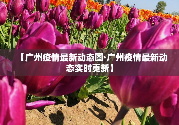 【广州疫情最新动态图·广州疫情最新动态实时更新】