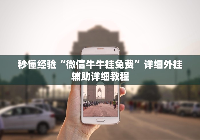 秒懂经验“微信牛牛挂免费”详细外挂辅助详细教程