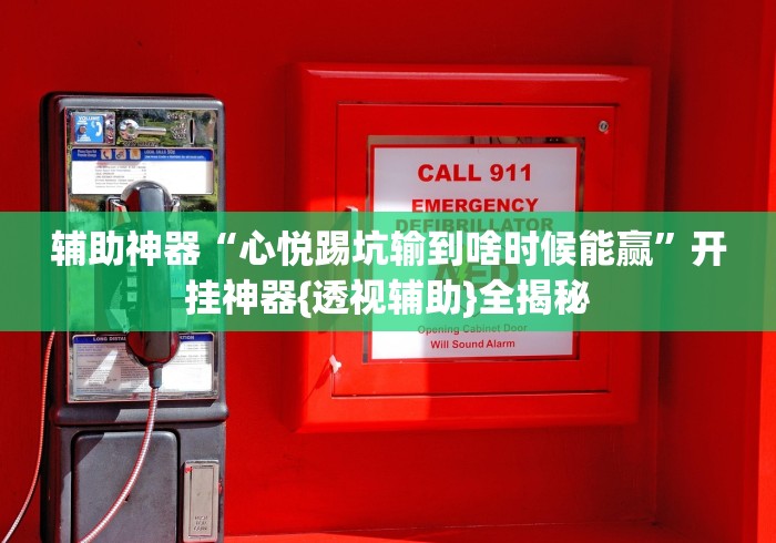 辅助神器“心悦踢坑输到啥时候能赢”开挂神器{透视辅助}全揭秘