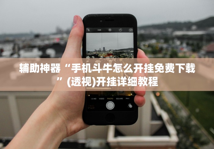 辅助神器“手机斗牛怎么开挂免费下载”(透视)开挂详细教程