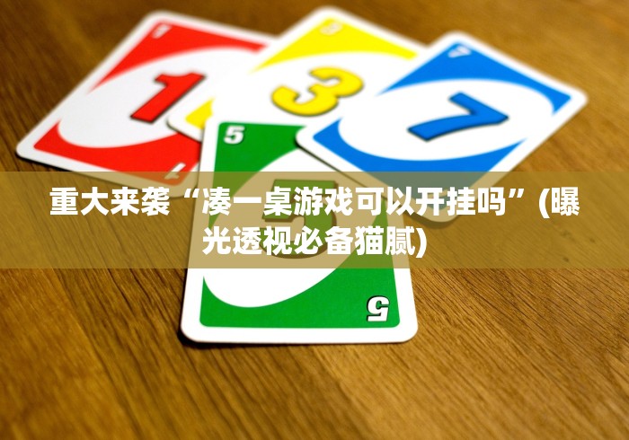 重大来袭“凑一桌游戏可以开挂吗”(曝光透视必备猫腻)