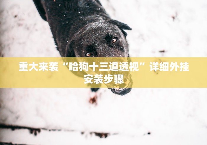 重大来袭“哈狗十三道透视”详细外挂安装步骤
