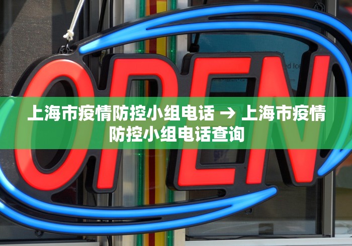 上海市疫情防控小组电话 → 上海市疫情防控小组电话查询