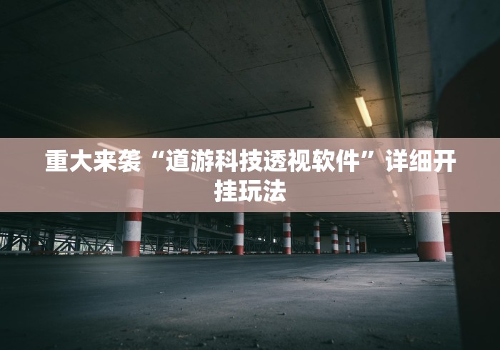重大来袭“道游科技透视软件”详细开挂玩法
