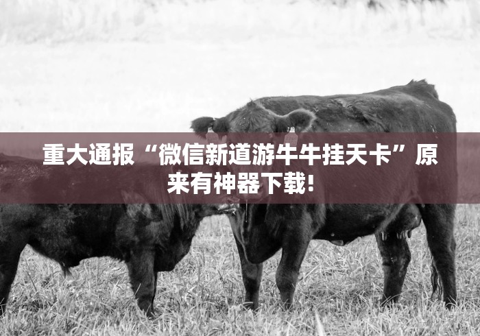 重大通报“微信新道游牛牛挂天卡”原来有神器下载!