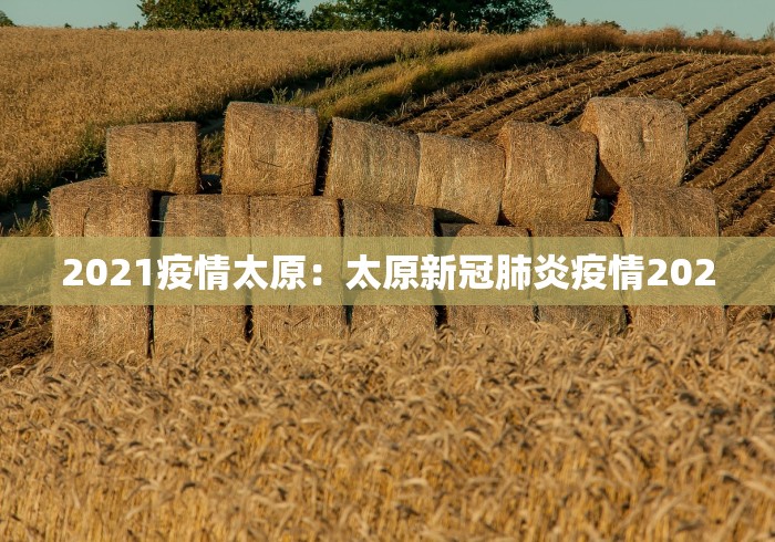 2021疫情太原：太原新冠肺炎疫情2020
