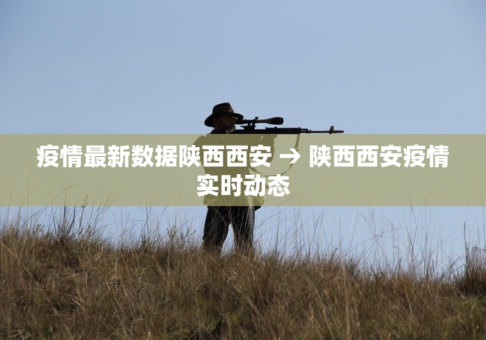 疫情最新数据陕西西安 → 陕西西安疫情实时动态