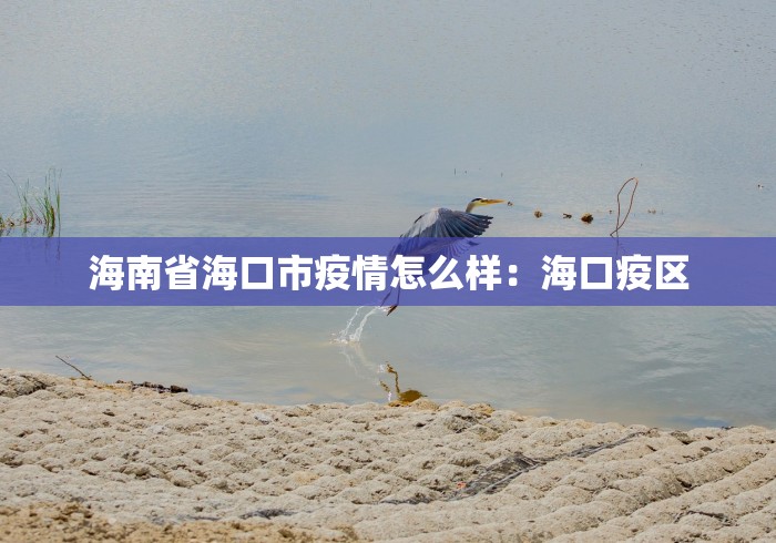 海南省海口市疫情怎么样：海口疫区