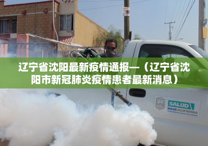 辽宁省沈阳最新疫情通报—（辽宁省沈阳市新冠肺炎疫情患者最新消息）