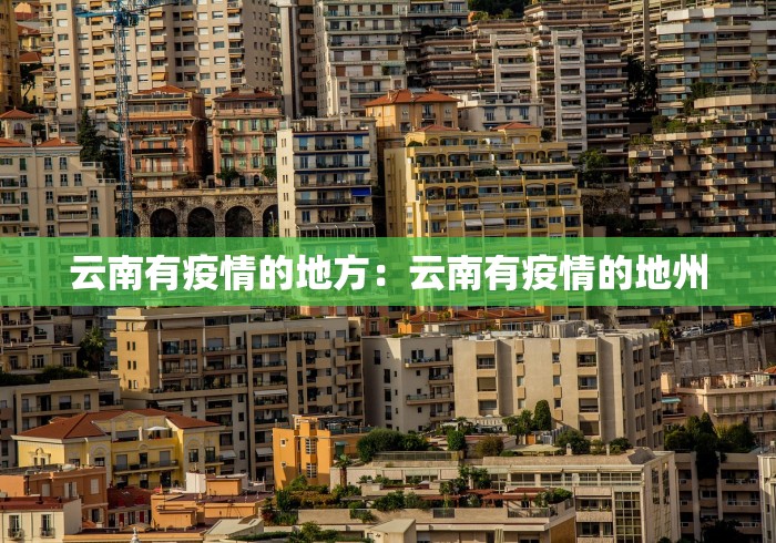 云南有疫情的地方：云南有疫情的地州