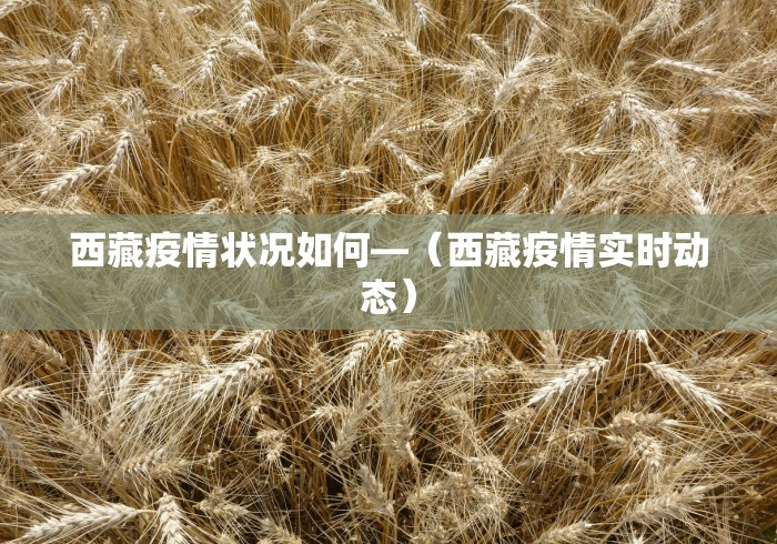 西藏疫情状况如何—（西藏疫情实时动态）