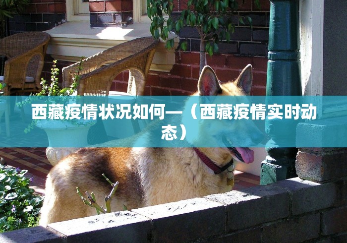 西藏疫情状况如何—（西藏疫情实时动态）