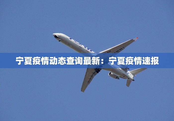 宁夏疫情动态查询最新：宁夏疫情速报