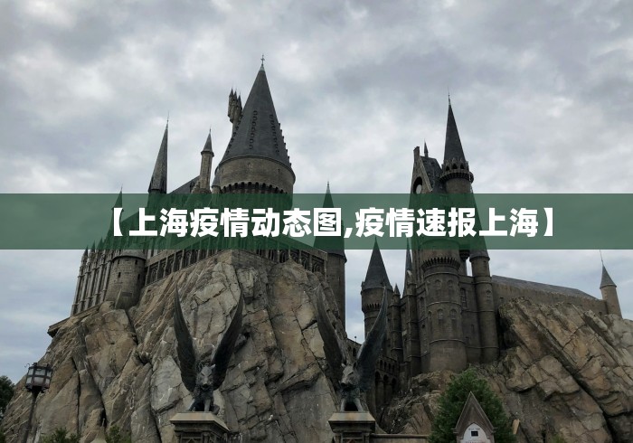 【上海疫情动态图,疫情速报上海】