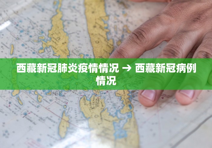 西藏新冠肺炎疫情情况 → 西藏新冠病例情况