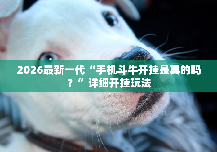 2026最新一代“手机斗牛开挂是真的吗？”详细开挂玩法