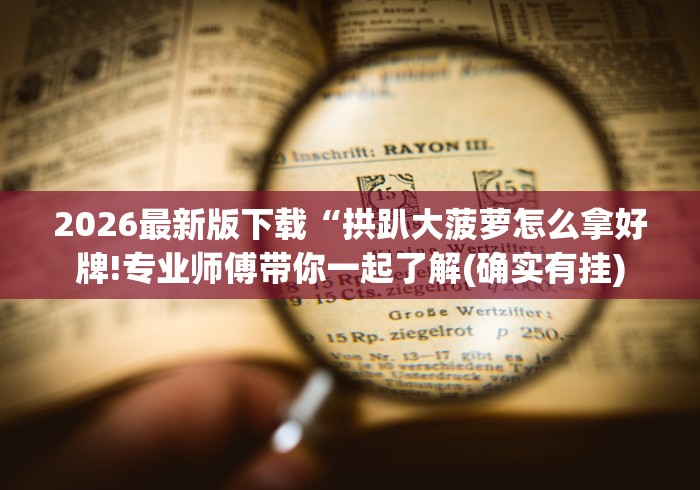 2026最新版下载“拱趴大菠萝怎么拿好牌!专业师傅带你一起了解(确实有挂)