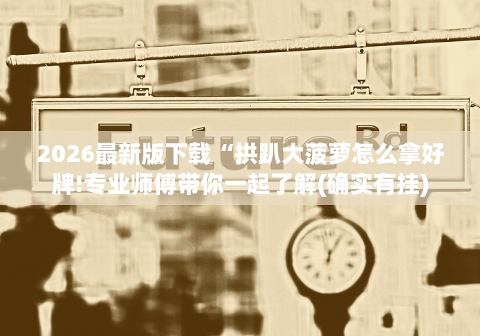 2026最新版下载“拱趴大菠萝怎么拿好牌!专业师傅带你一起了解(确实有挂)