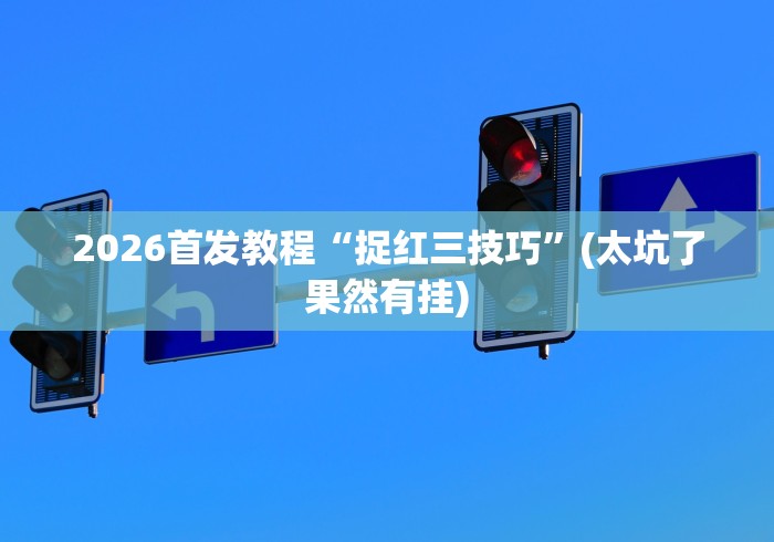 2026首发教程“捉红三技巧”(太坑了果然有挂)