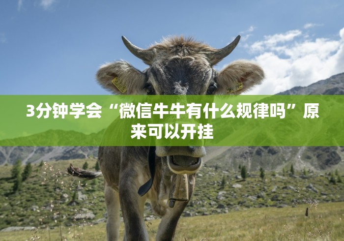 3分钟学会“微信牛牛有什么规律吗”原来可以开挂