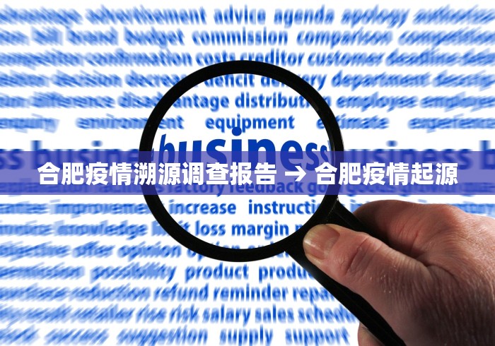 合肥疫情溯源调查报告 → 合肥疫情起源