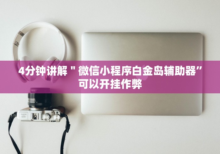 4分钟讲解＂微信小程序白金岛辅助器”可以开挂作弊