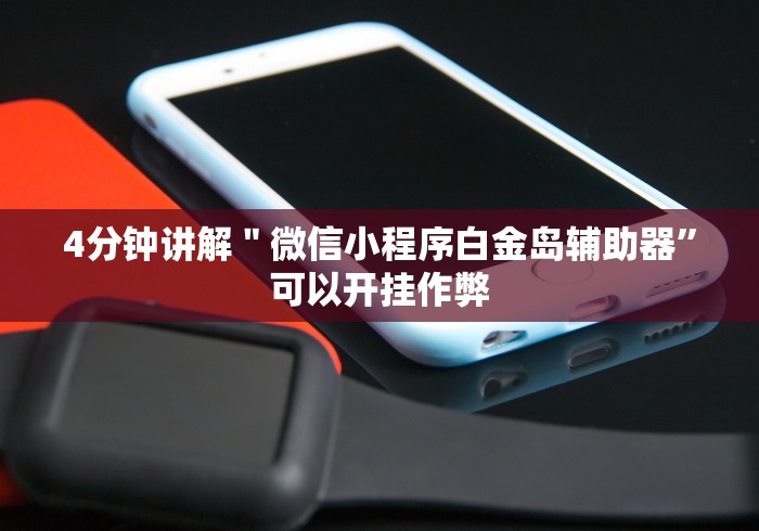 4分钟讲解＂微信小程序白金岛辅助器”可以开挂作弊
