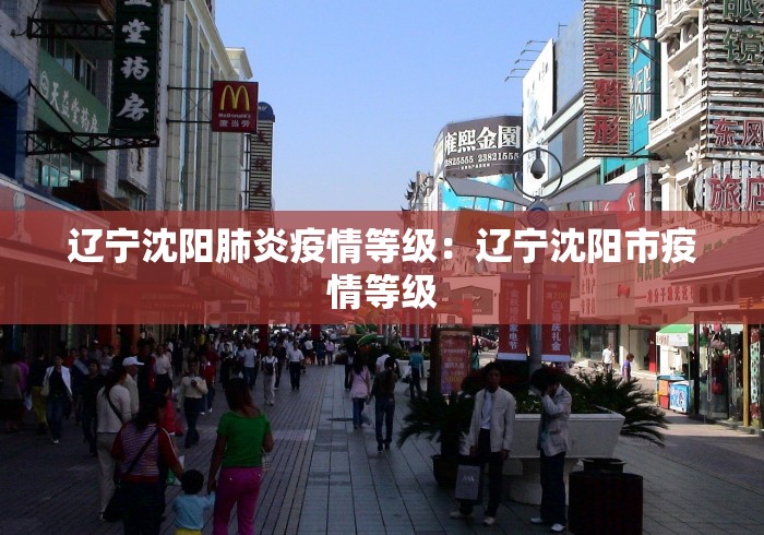 辽宁沈阳肺炎疫情等级：辽宁沈阳市疫情等级