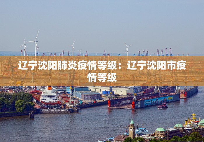辽宁沈阳肺炎疫情等级：辽宁沈阳市疫情等级