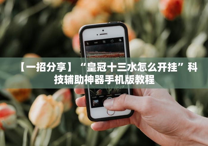 【一招分享】“皇冠十三水怎么开挂”科技辅助神器手机版教程