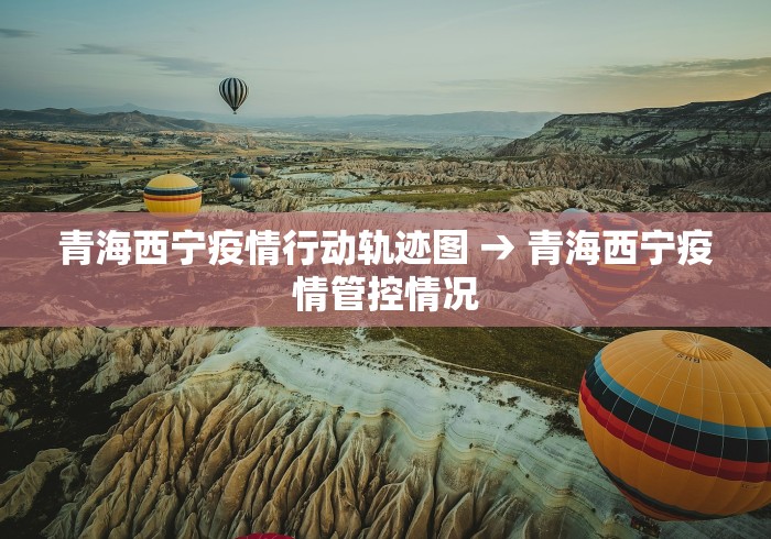 青海西宁疫情行动轨迹图 → 青海西宁疫情管控情况
