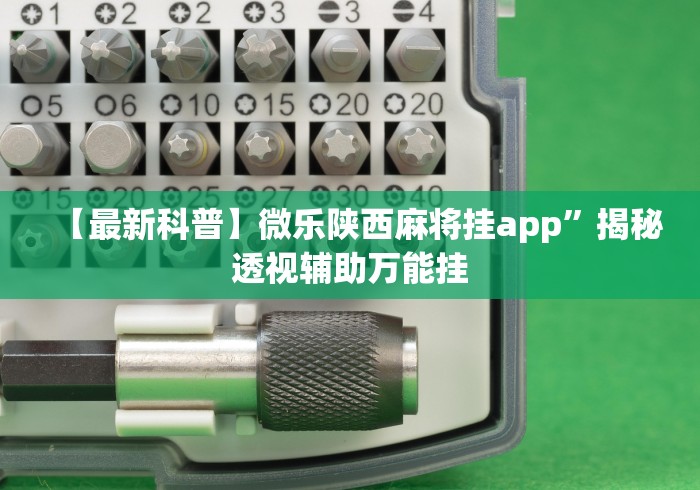 【最新科普】微乐陕西麻将挂app”揭秘透视辅助万能挂