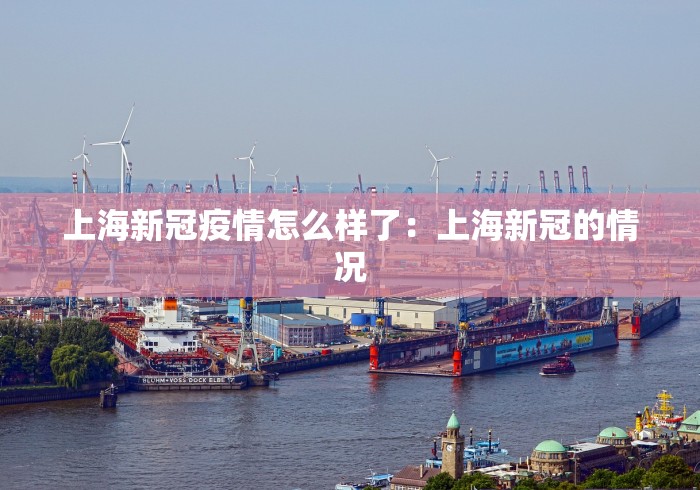 上海新冠疫情怎么样了：上海新冠的情况