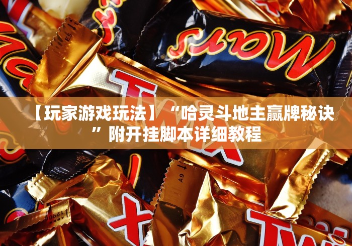 【玩家游戏玩法】“哈灵斗地主赢牌秘诀”附开挂脚本详细教程