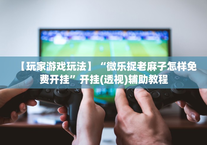 【玩家游戏玩法】“微乐捉老麻子怎样免费开挂”开挂(透视)辅助教程