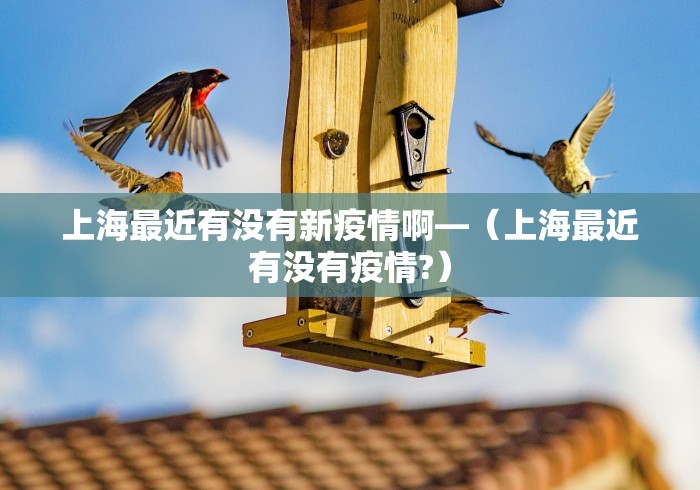 上海最近有没有新疫情啊—（上海最近有没有疫情?）