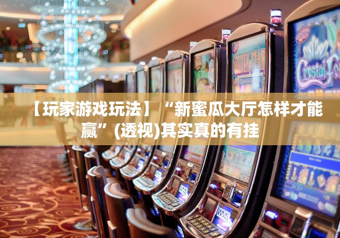 【玩家游戏玩法】“新蜜瓜大厅怎样才能赢”(透视)其实真的有挂