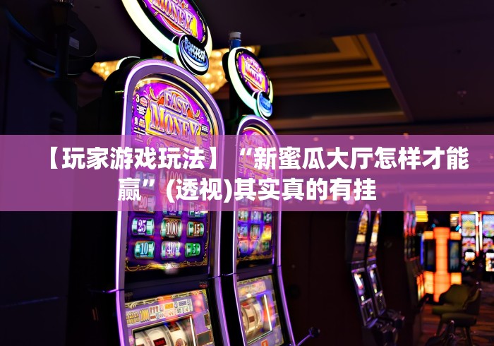 【玩家游戏玩法】“新蜜瓜大厅怎样才能赢”(透视)其实真的有挂