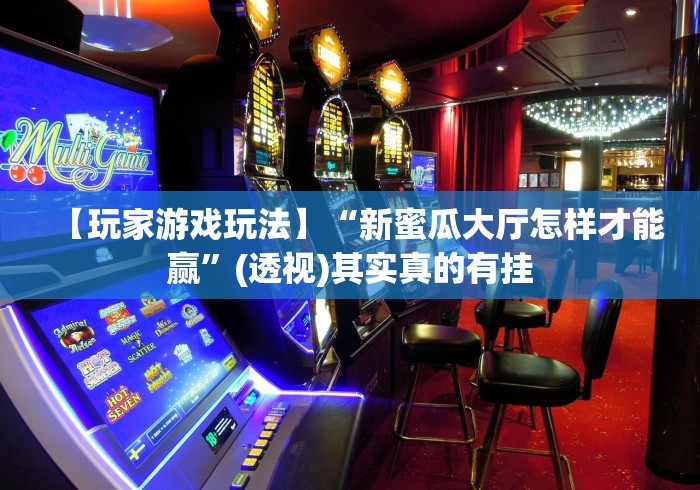 【玩家游戏玩法】“新蜜瓜大厅怎样才能赢	”(透视)其实真的有挂
