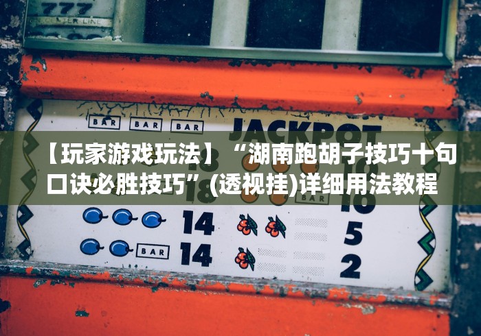 【玩家游戏玩法】“湖南跑胡子技巧十句口诀必胜技巧”(透视挂)详细用法教程