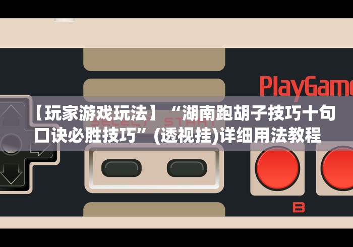 【玩家游戏玩法】“湖南跑胡子技巧十句口诀必胜技巧”(透视挂)详细用法教程