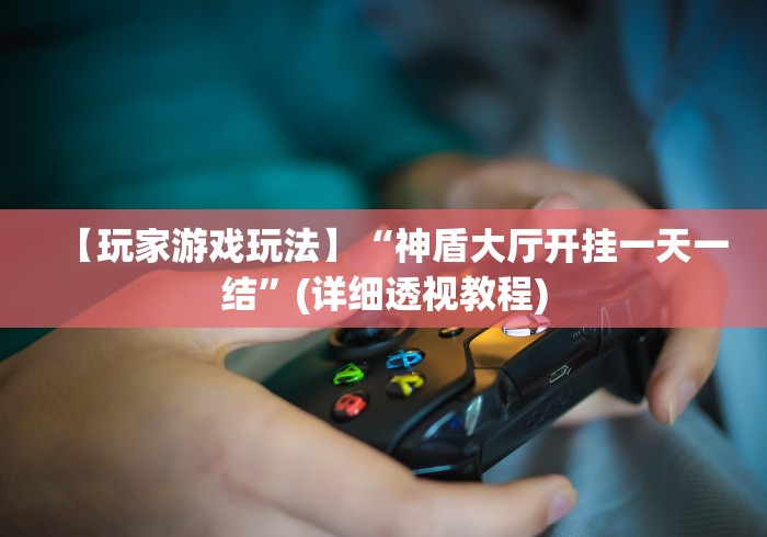 【玩家游戏玩法】“神盾大厅开挂一天一结”(详细透视教程)