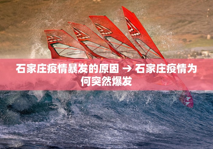 石家庄疫情暴发的原因 → 石家庄疫情为何突然爆发