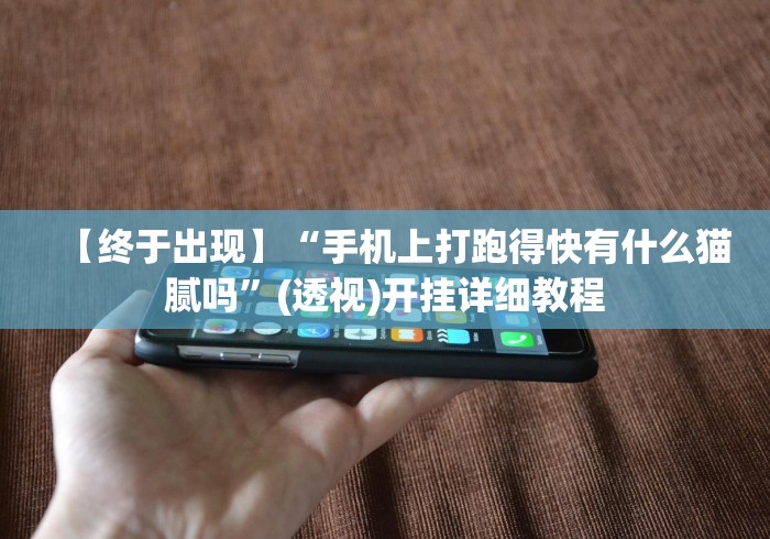 【终于出现】“手机上打跑得快有什么猫腻吗”(透视)开挂详细教程